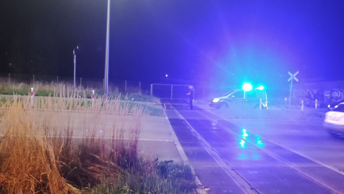 Policjanci pomogli jeżowi bezpiecznie przejść przez drogę