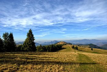 Nowa atrakcja dla dzieci w Pieninach. Na popularnym szczycie czekają interaktywne zadania i zagadki