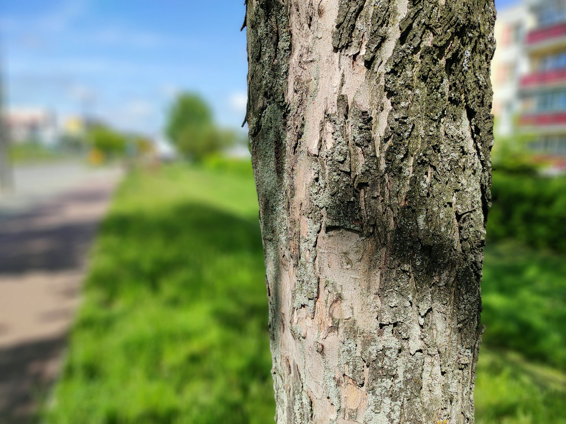 Redmi Note 9 Pro: pierwsze wrażenia. Czuć potencjał 22
