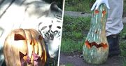 Zwierzęce Halloween. Pomysł rzymskiego zoo przyciąga turystów