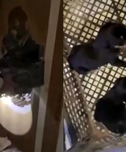 Cud w Turcji. 28 dni pod gruzami. Właściciel wzruszony