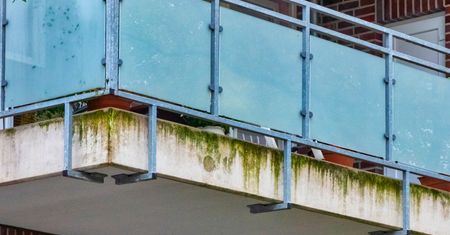 Mieszam z wodą i spryskuję balkon. Mech znika szybciej, niż się pojawił