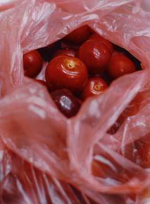 Biodegradowalny plastik wcale nie taki bio. Są wyniki badań