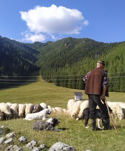 Skandaliczne zachowanie turystów w Tatrach. "Pani chce i już"