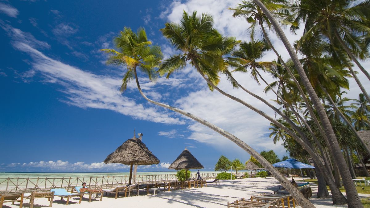 Palapas and Palm Trees on the Beach
Bob Krist
vacation:CB2, beach:CB2, nobody:CB2, palapa:CB2, Palm tree:CB2, beach chair:CB2, Zanzibar:CB2, travel & tourism:CB2