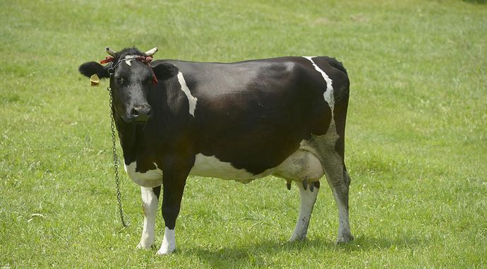 Spiszmy się, jak na rolników przystało!