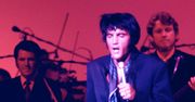 "Zadzwonił menedżer Elvisa". Presley chciał śpiewać hit Czerwonych Gitar