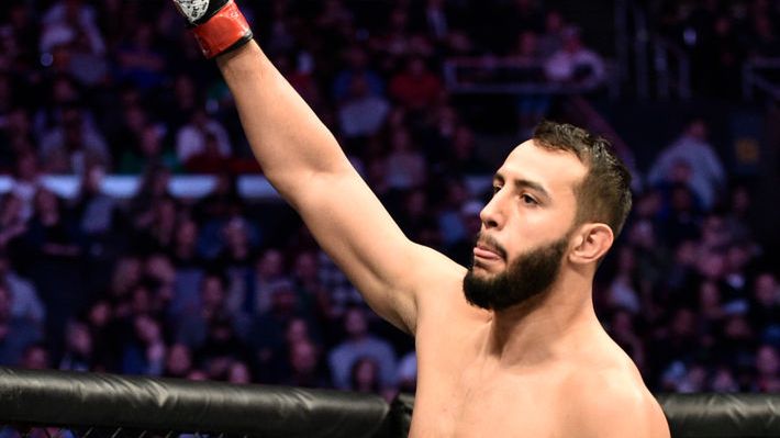 Zdjęcie okładkowe artykułu: Getty Images / Chris Unger/Zuffa LLC / Na zdjęciu: Dominick Reyes