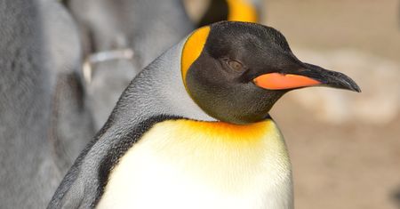 Groźne luki w Linuxie zostały załatane