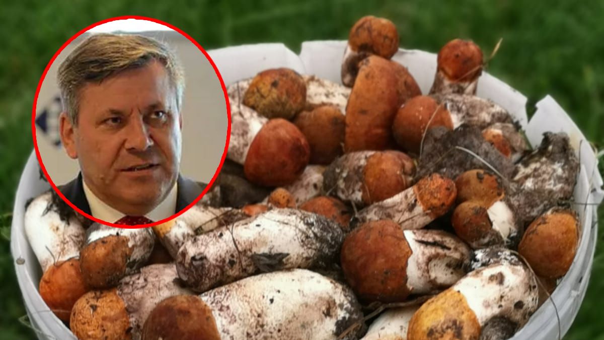 Janusz Piechociński nie jest optymistą jeżeli chodzi o grzyby