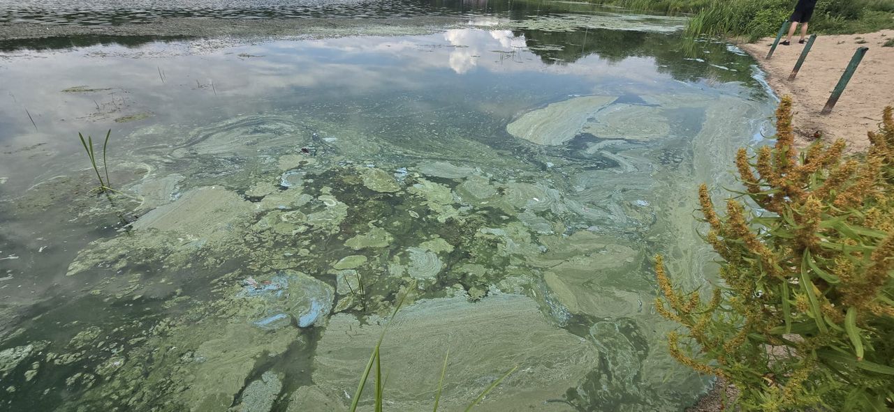 Komisja Ochrony Środowiska Parlamentu Europejskiego zajmie się petycją mieszkańca Soczewki w sprawie rekultywacji jeziora!