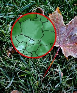 Za nami najchłodniejsza noc. Przymrozki na razie zostaną