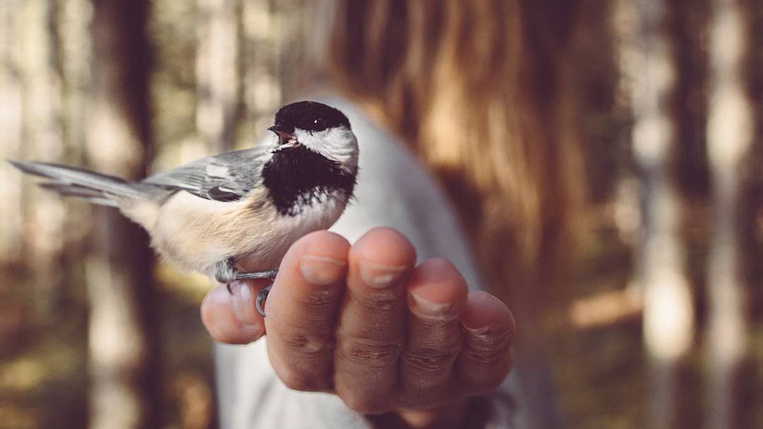 Fotografia przyrodnicza stała się jej językiem, a szepty zwierząt narzędziem komunikacji 1