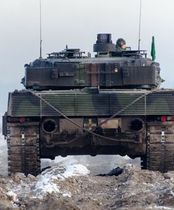 Ukraina nie kryje żalu. Zawiódł ich sąsiad Polski