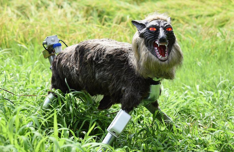 Japońskie roboty "walczą" z niedźwiedziami. Wyglądają inaczej niż to sobie wyobrażacie 1