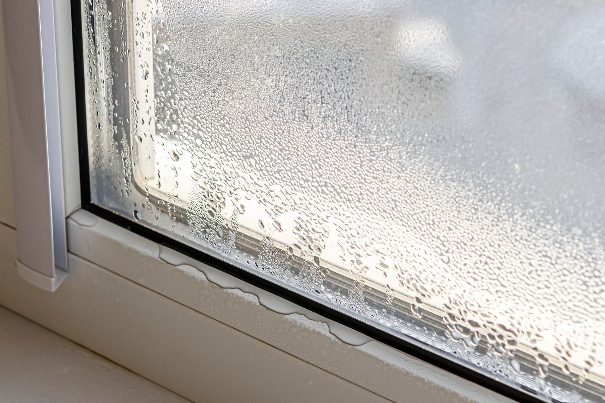 Beating the damp: How to prevent window condensation and mold with tips from a TikTok 'Cleaning Queen'