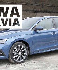 Nowa Skoda Octavia 2020 - schodek wyżej