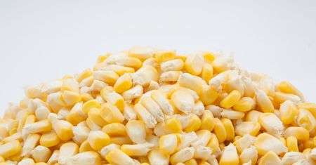 Słodka biała kukurydza w puszce (produkt i płyn)