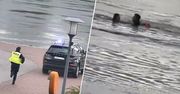 Dramatyczna akcja ratunkowa. Policjant wskoczył do Wisły
