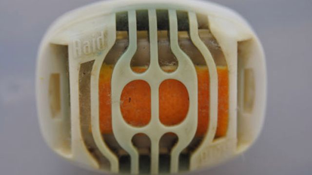 Łatwy i tani sposób na komary - pomarańcze! 1