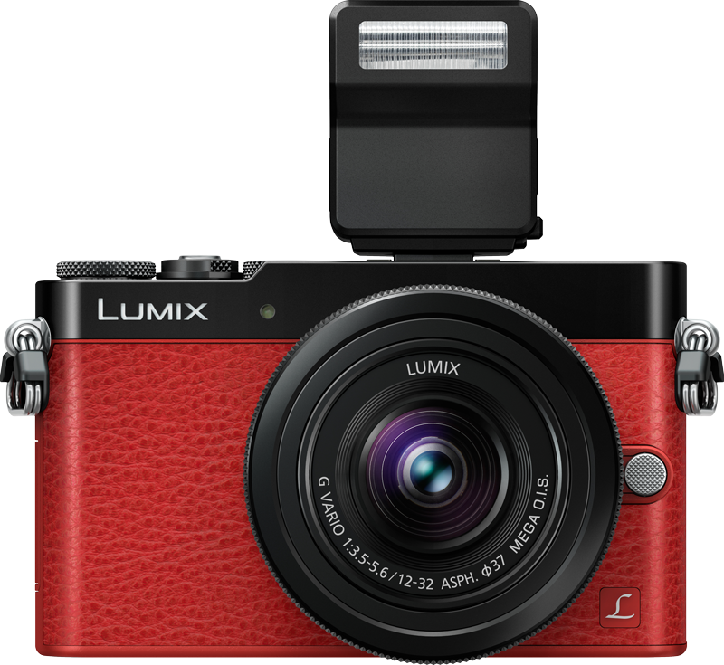 Panasonic Lumix DMC-GM5