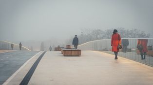 Poznań: Gęsta mgła nad miastem. Warta utonęła w "mleku"