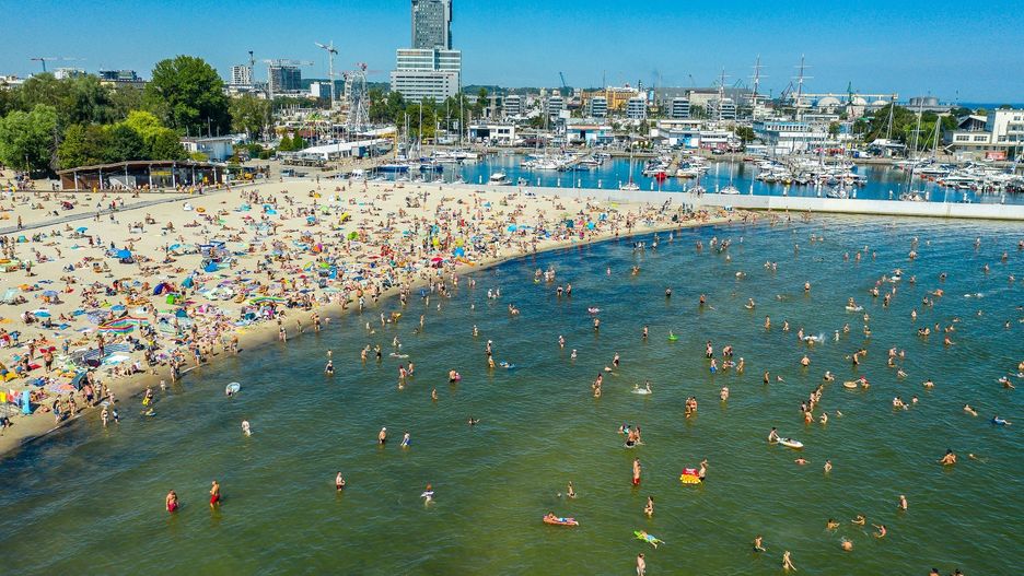 Zastanawiasz się, co zobaczyć w Gdyni? Choć to miasto nie ma starówki jak Gdańsk, zachwyca nowoczesnymi atrakcjami, widokami i morską atmosferą. Poznaj najciekawsze miejsca, które warto odwiedzić podczas pobytu w Gdyni – od nadmorskich spacerów po zwiedzanie statków-muzeów.