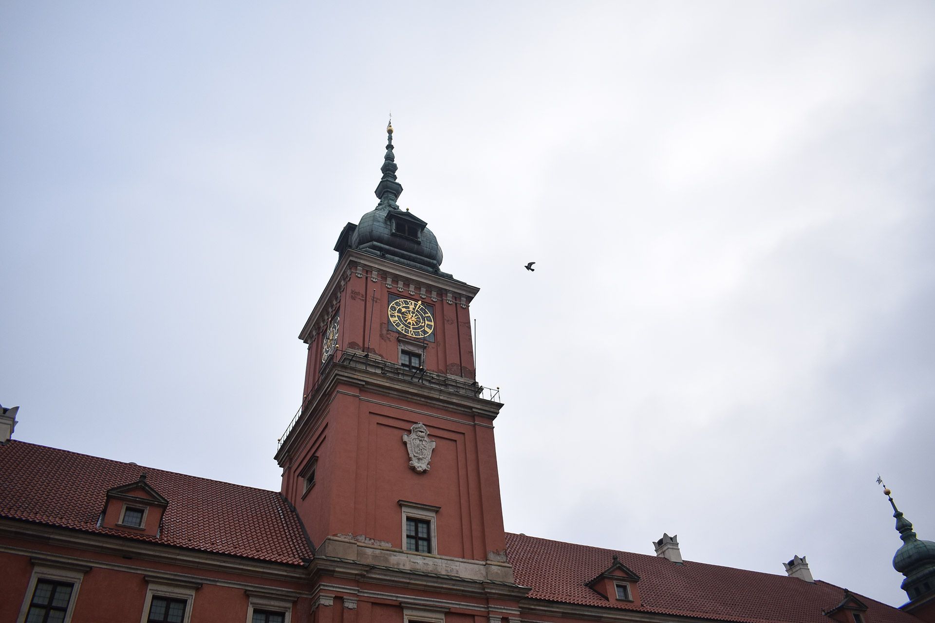Nikon D5600 - test lustrzanki z Wi-Fi i Bluetooth dla entuzjastów fotografii 48