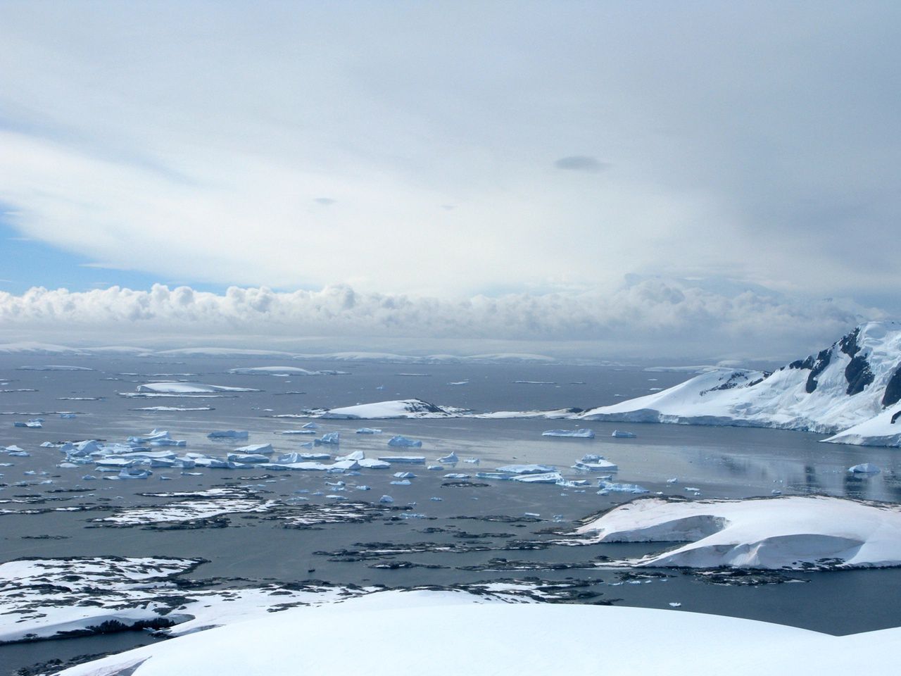 Lodowce Antarktydy