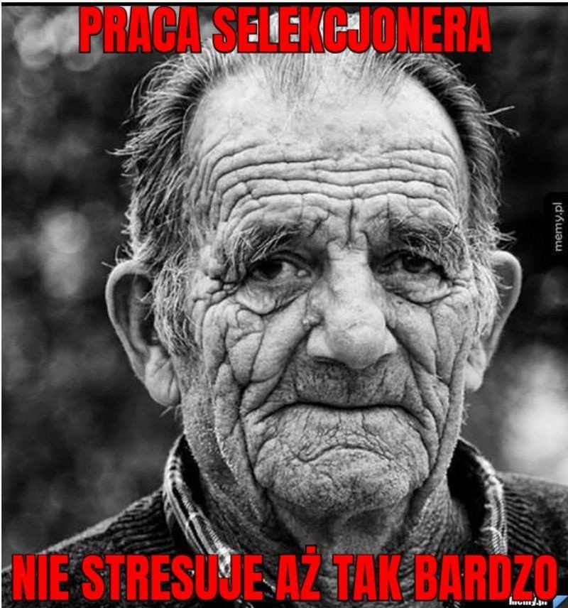 Memy po meczu Polska-Szwecja