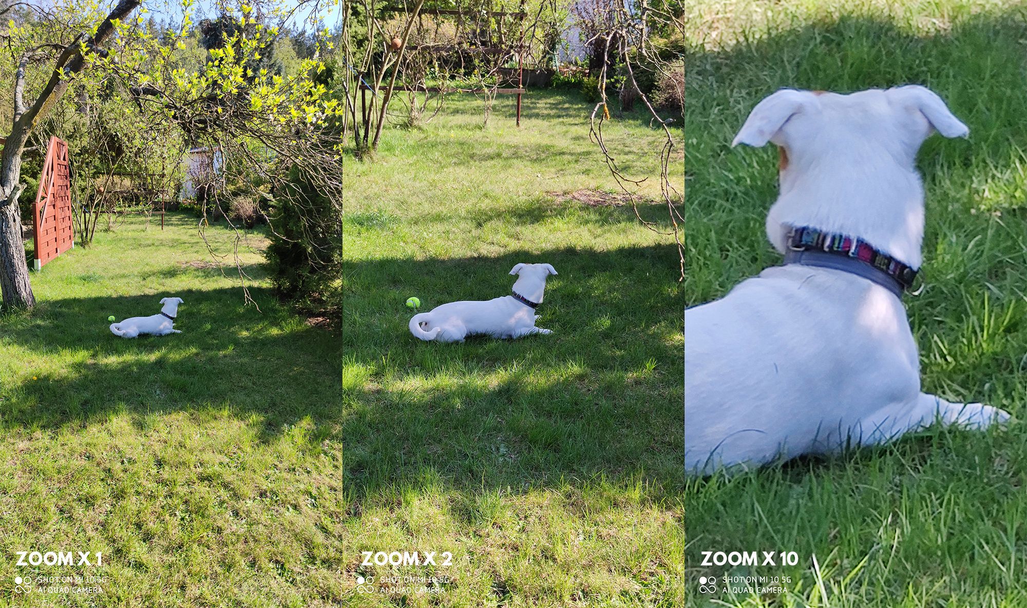 Xiaomi Mi 10. Test fotograficznych możliwości tańszej wersji flagowca 5