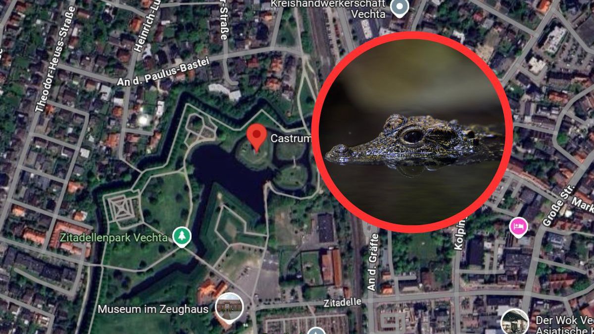 Tajemniczy aligator w Vechta. Skąd się tam wziął i co planują wł