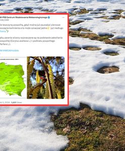 Kiedy zaczyna się wiosna? CMM-IMGW: już niedługo zaranie wiosny