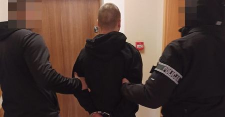 Poszukiwany listem gończym wpadł, bo jego kryjówkę zdradził… kot. Kitek siedział przy szafie, w której się ukrył