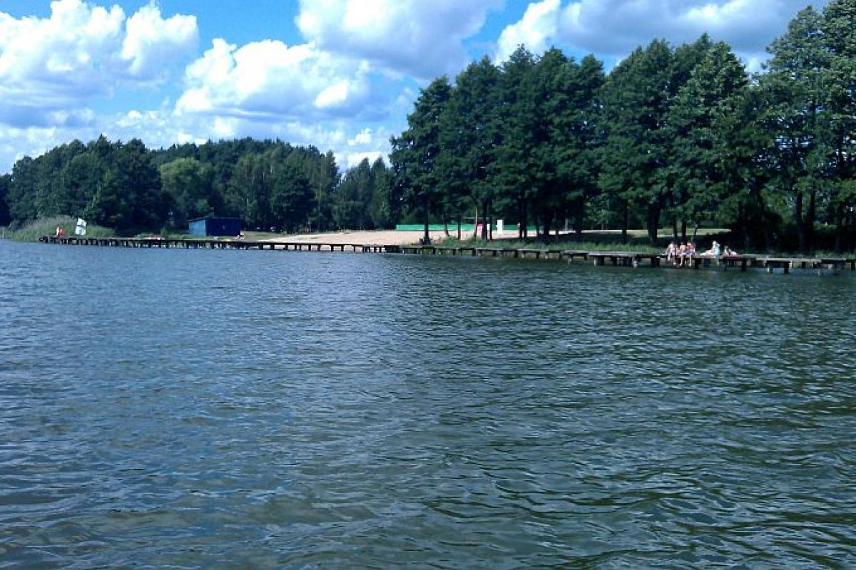 Ktoś pozbył się zwierzęcia w okrutny sposób