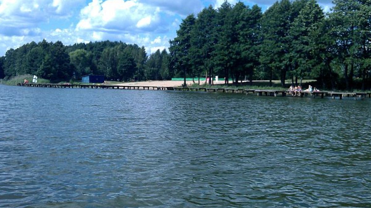 Ktoś pozbył się zwierzęcia w okrutny sposób