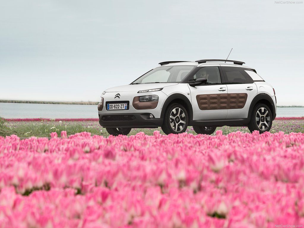 Citroën C4 Cactus - awangarda dla każdego