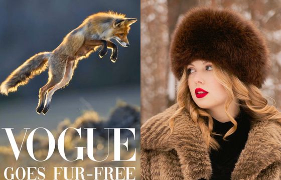 Koniec futer w "Vogue" i "GQ". Wydawca ogłosił zakaz