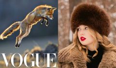 Koniec futer w "Vogue" i "GQ". Wydawca ogłosił zakaz