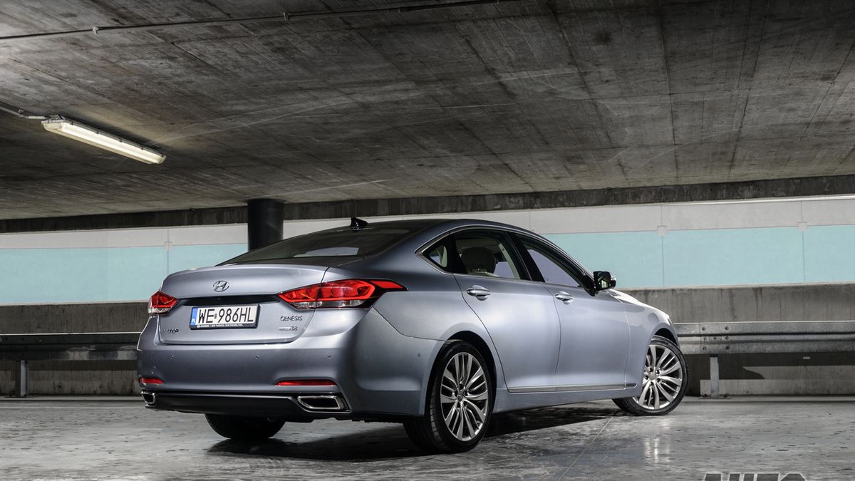 fot. Mariusz Zmysłowski