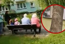 Matka Boska "ukazała się" mieszkańcom Parczewa. "To objawienie"