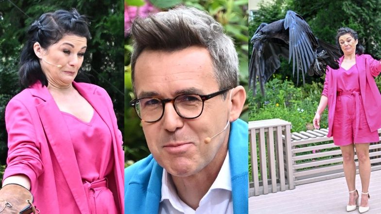 Katarzyna Cichopek prezentuję serię przerażonych min na widok DUŻEGO PTAKA (ZDJĘCIA)