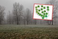 Pogoda w grudniu nie będzie zimowa. Nadchodzi ocieplenie w prognozach