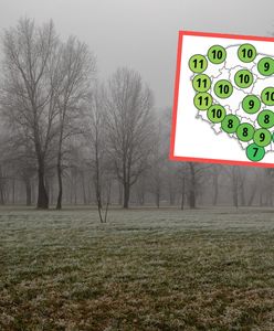 Pogoda w grudniu nie będzie zimowa. Nadchodzi ocieplenie w prognozach