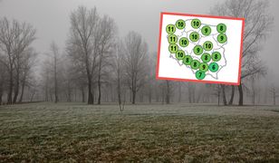 Pogoda w grudniu nie będzie zimowa. Nadchodzi ocieplenie w prognozach