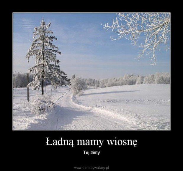 Wiosna nie nadeszła, internauci wyżywają się w memach. Zobaczcie najlepsze z nich 6