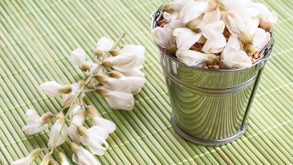 Kwiaty bakopy mają liczne zastosowania zdrowotne