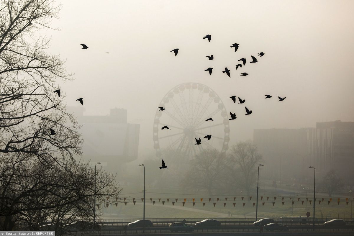 Smog i mgła w Krakowie