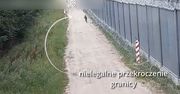 Imigrant przedostał się przez barierę. Straż Graniczna sama to pokazała