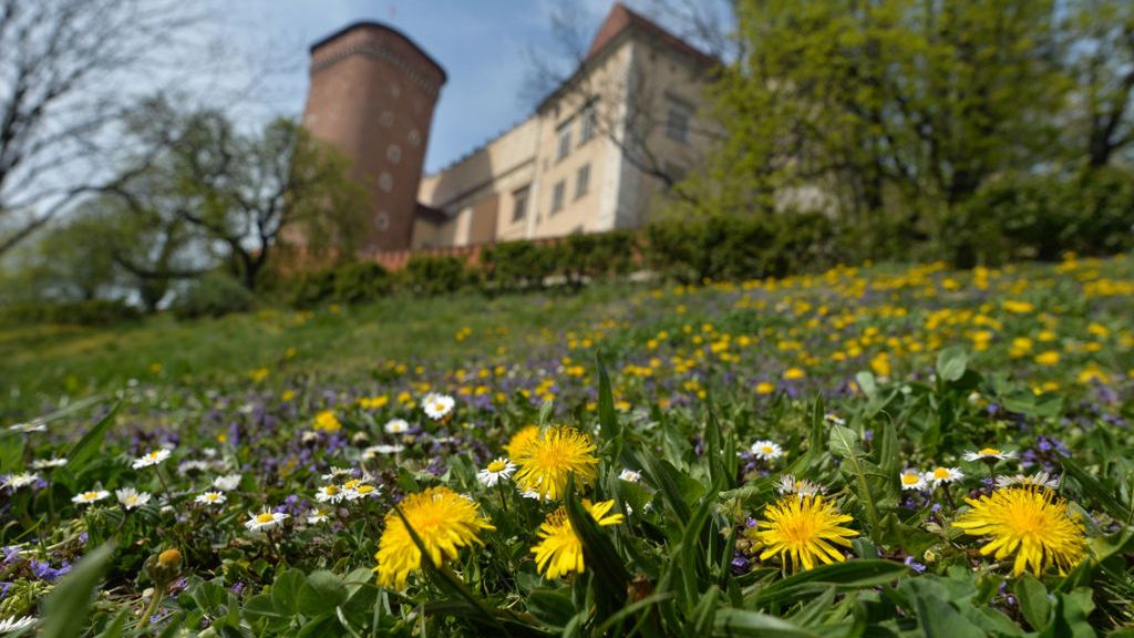 Jaka pogoda szykuje się na majówkę 2020?